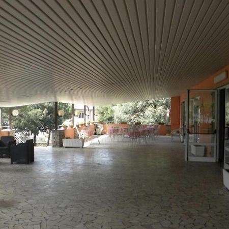 New Park Hotel Lido di Camaiore Esterno foto